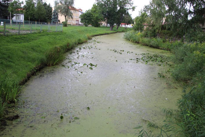 Daj nam znać. Kolejny Czytelnik skarży się na brud i smród kanału przy ul. Grochowskiej