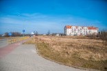Wysypisko śmieci na Modrzewinie
