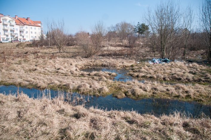 Wysypisko śmieci na Modrzewinie