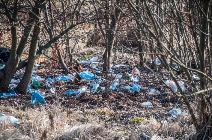 Wysypisko śmieci na Modrzewinie
