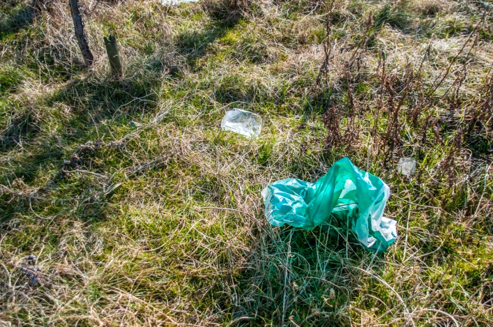 Wysypisko śmieci na Modrzewinie
