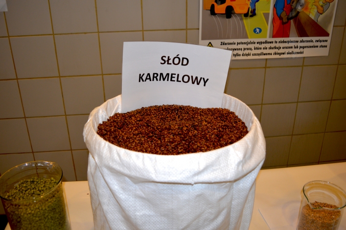 Dni Elbląga. Nie tylko koncerty (+ zdjęcia)