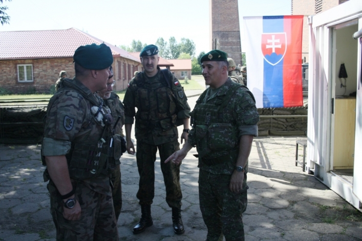Dowódca 16 PDZ w Słowackiej brygadzie