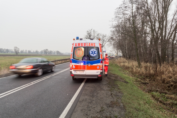 Droga w kierunku Malborka: Toyotą do rowu