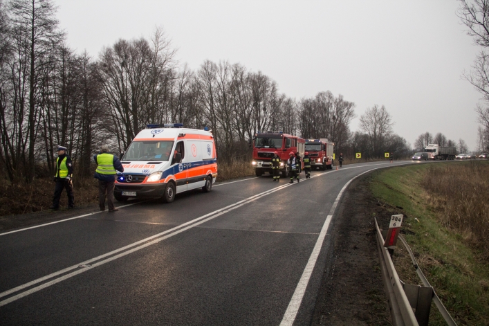 Droga w kierunku Malborka: Toyotą do rowu