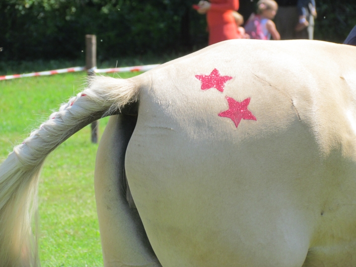 Drugie zawody jeździeckie z cyklu PONY CUP za nami