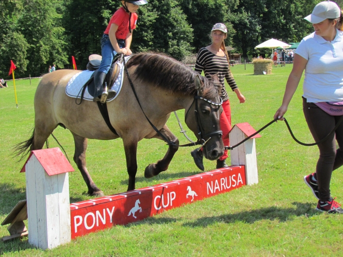 Drugie zawody jeździeckie z cyklu PONY CUP za nami