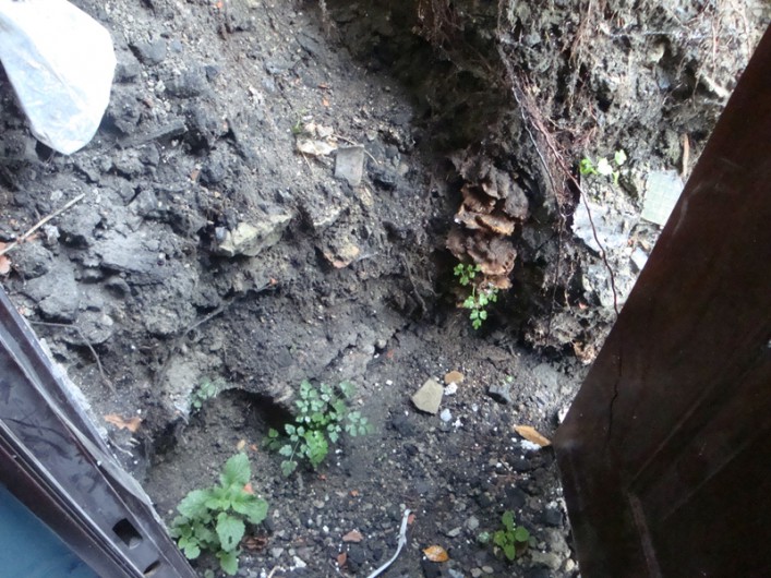 Dyskoteka Oxiden. Niebezpieczne wyjście bezpieczeństwa
