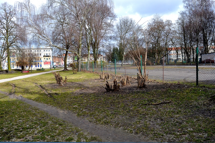 Działki w centrum miasta idą pod młotek. Powstanie centrum usługowe z parkingiem  