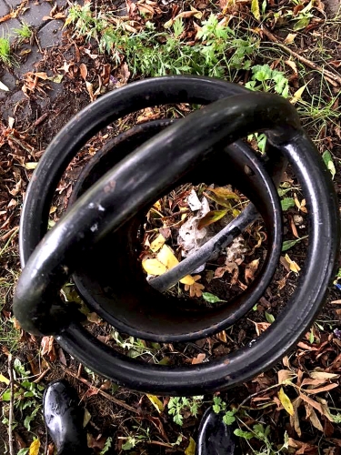 Dzień Sprzątania Świata w Elblągu. Z terenów przy Kumieli uprzątneliśmy ok. 100 kg śmieci!