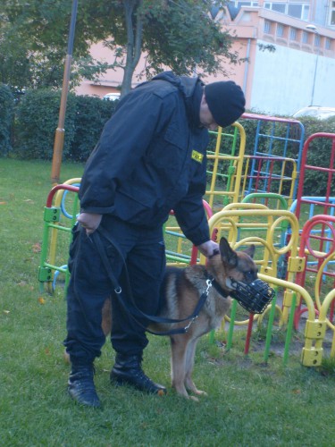 Edukacja drogowa w Przedszkolu Nr 17