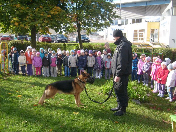 Edukacja drogowa w Przedszkolu Nr 17