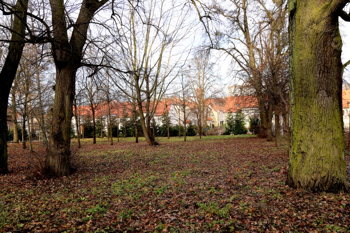 Elbląg. Izba o. Klimuszki, muzeum, herbarium, plac zabaw. Nie tylko dla turystów 