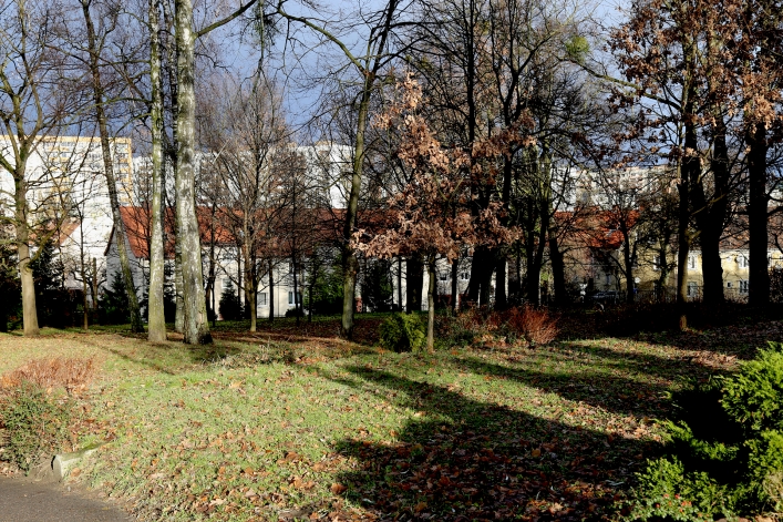 Elbląg. Izba o. Klimuszki, muzeum, herbarium, plac zabaw. Nie tylko dla turystów 