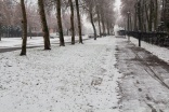 Elbląg przykryty puchem – zobacz zdjęcia