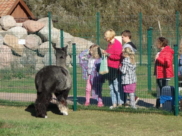 Elbląska Akademia Romska 