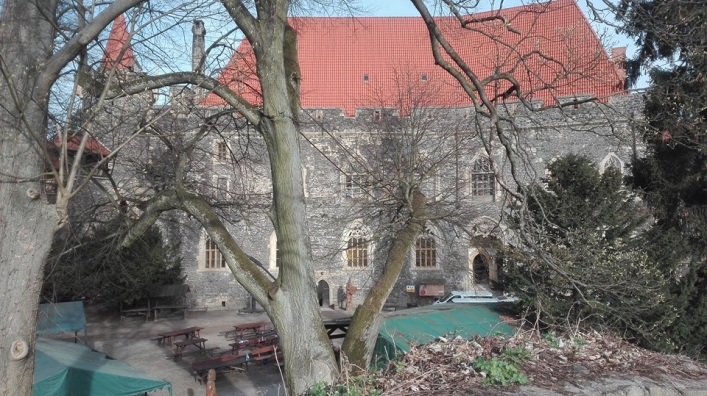 Zamek Grodziec,
