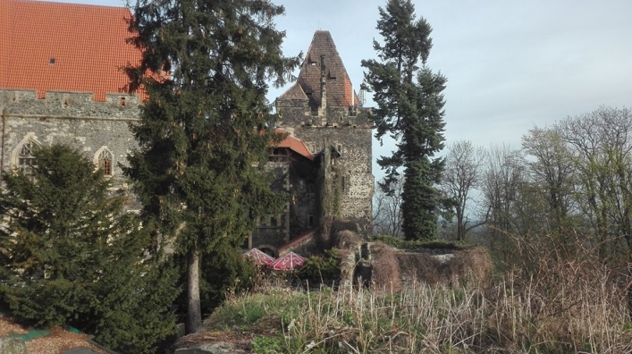 Zamek Grodziec,