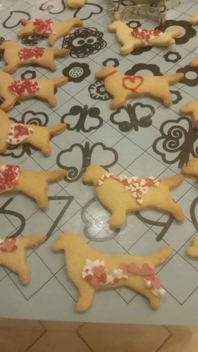 Elbląskie Goldeny po raz kolejny wsparły WOŚP (+ zdjęcia)