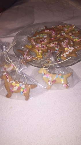 Elbląskie Goldeny po raz kolejny wsparły WOŚP (+ zdjęcia)