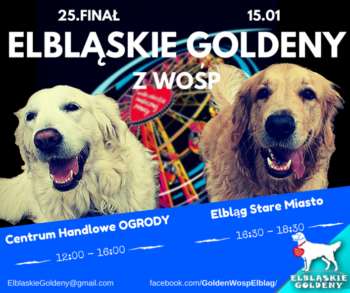 Elbląskie Goldeny po raz kolejny wsparły WOŚP (+ zdjęcia)