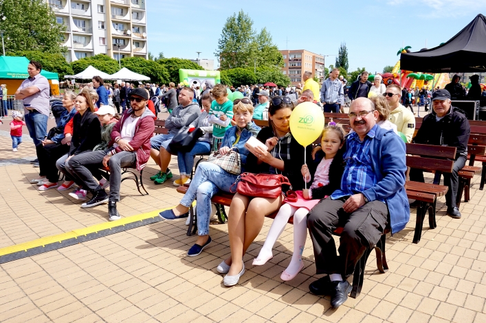 Festyn ekologiczny przyciągnął tłumy elblążan