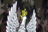 Festyn wojskowy z ciężkim sprzętem