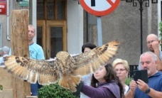 Fotorelacja z Jarmarku św. Bartłomieja w Pasłęku