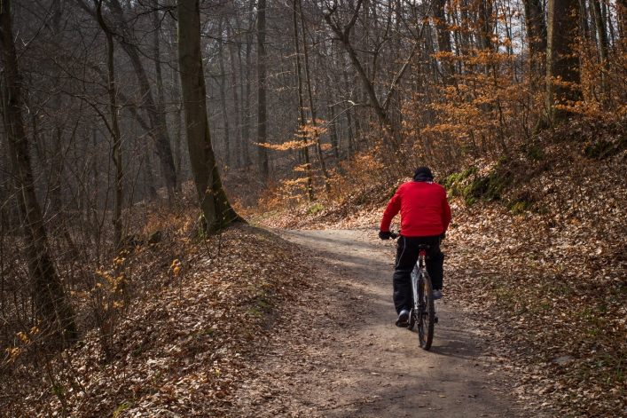 Gdzie ta wiosna ? U nas już jest - na zdjęciach :)