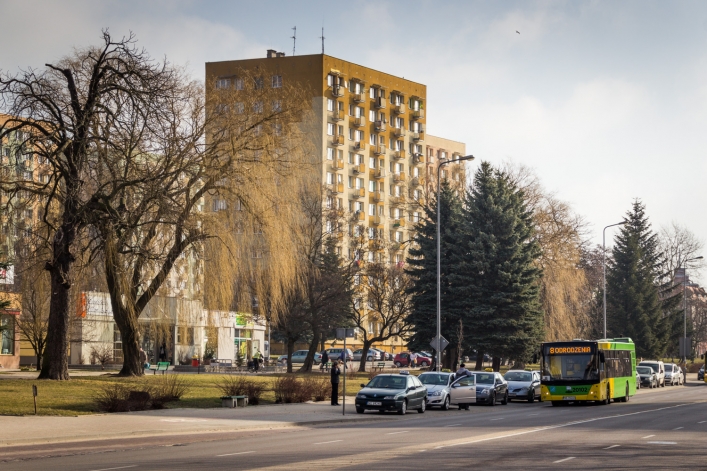 Gdzie ta wiosna ? U nas już jest - na zdjęciach :)