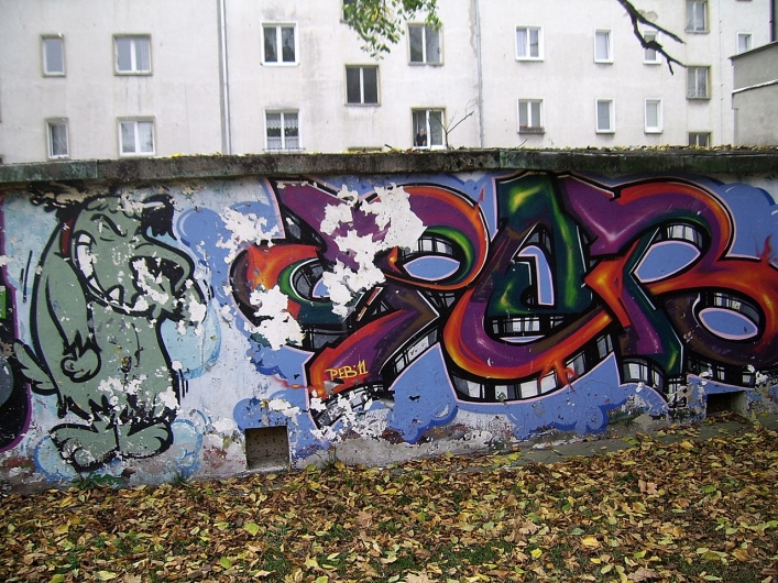 Graffiti. Gdzie kończy się sztuka, a zaczyna wandalizm? 