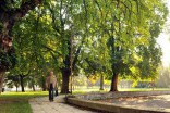 Historia Elbląga. Park Planty - czy tu wykonywano egzekucje?