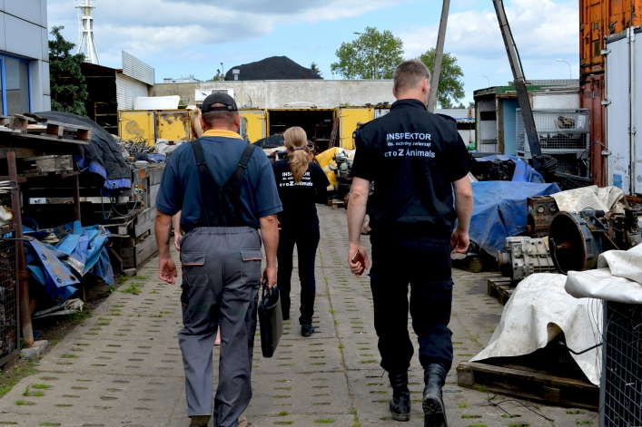 Interwencja wolontariuszy OTOZ Animals i pracowników elbląskiego schroniska (+ zdjęcia)