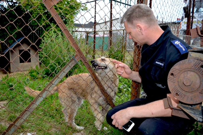 Interwencja wolontariuszy OTOZ Animals i pracowników elbląskiego schroniska (+ zdjęcia)