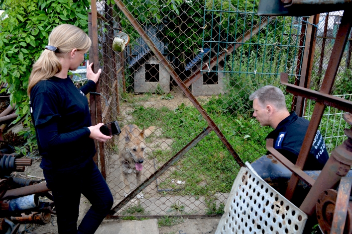 Interwencja wolontariuszy OTOZ Animals i pracowników elbląskiego schroniska (+ zdjęcia)
