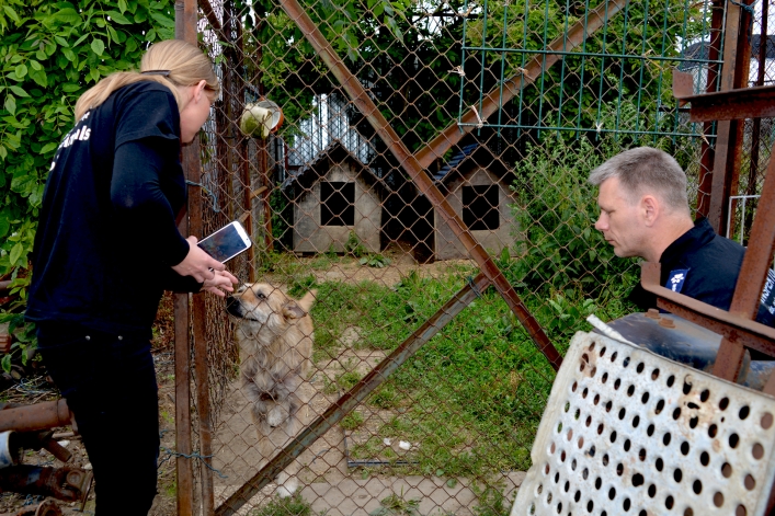 Interwencja wolontariuszy OTOZ Animals i pracowników elbląskiego schroniska (+ zdjęcia)