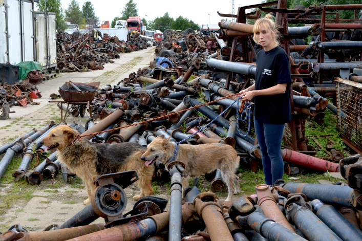 Interwencja wolontariuszy OTOZ Animals i pracowników elbląskiego schroniska (+ zdjęcia)