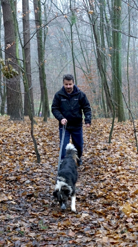 Jesienny „Bieg na 6 łap” w elbląskiej Bażantarni