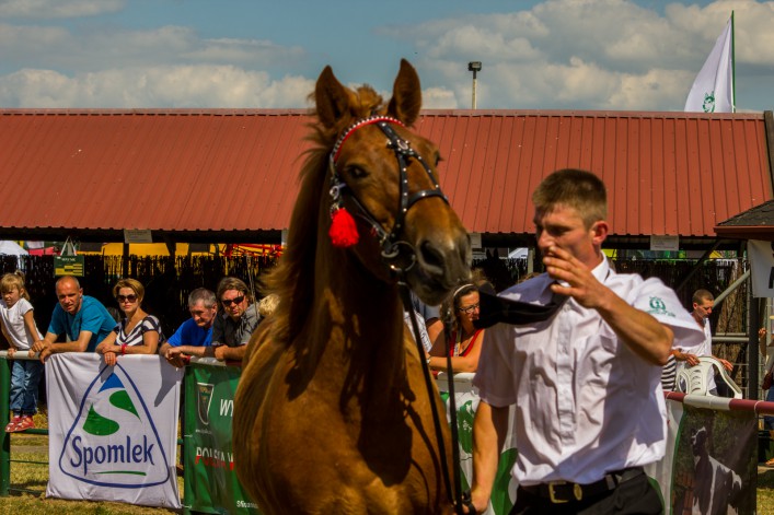 Jubileusze, XX Targi Rolne w Starym Polu. Zobacz naszą fotorelację