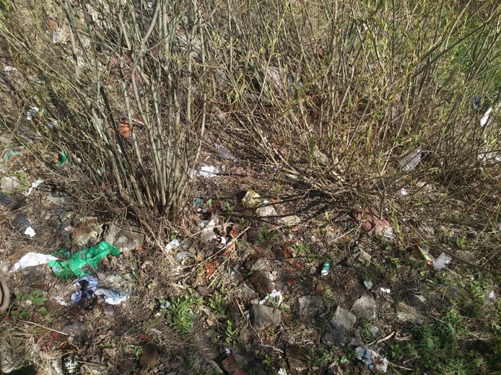 Kamienice przejdą remont. Co z ich otoczeniem?