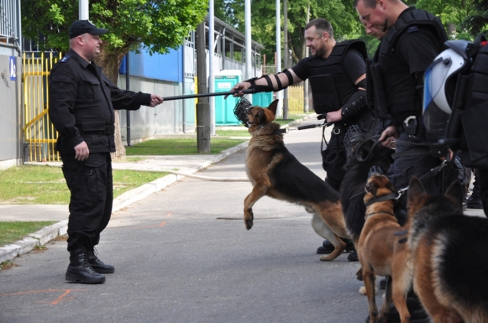 Kibole kontra psy. Ćwiczenia na stadionie przy Agrykola