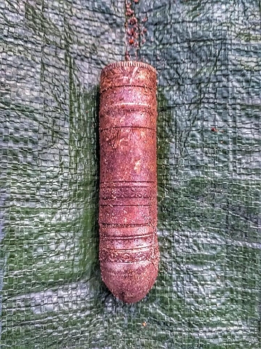 Kolejne wojenne znalezisko na Mierzei Wiślanej 