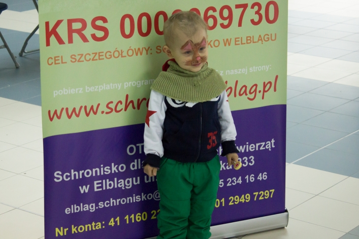 Kot też może być najlepszym przyjacielem człowieka
