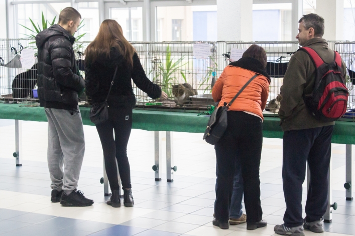 Kot też może być najlepszym przyjacielem człowieka
