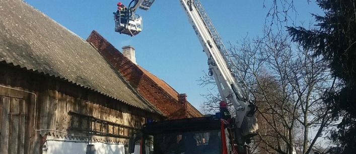 Krzewsk. Strażacy uratowali kotka, który uciekł przed psami (+zdjęcia)