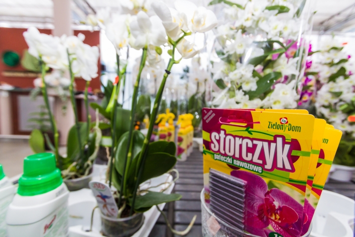Kwiaty na Dzień Babci i Dziadka? Tylko Hurtownia Walentynowicz!