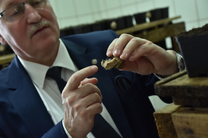 Marszałek województwa na farmie ślimaków: „Ślimacze tempo rozwoju jest im obce”