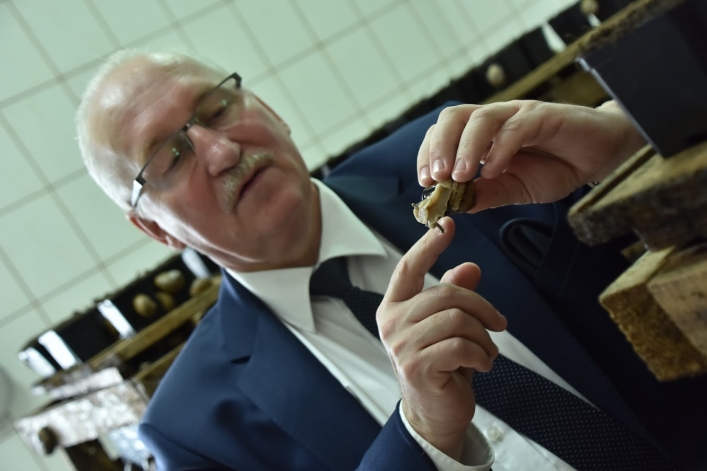 Marszałek województwa na farmie ślimaków: „Ślimacze tempo rozwoju jest im obce”