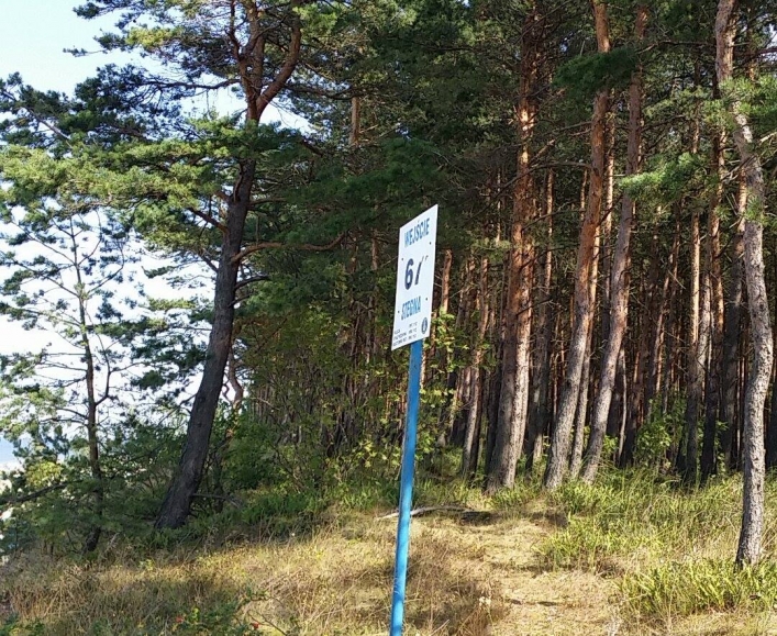 Martwy wieloryb na wodach Morza Bałtyckiego. Do Stegny jadą pracownicy Stacji Morskiej w Helu