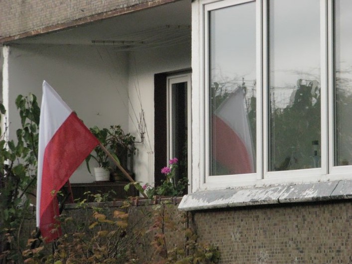 Mieszkańcy ozdabiają Elbląg barwami narodowymi. Galeria zdjęć
